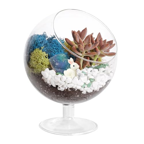 Creations by Nathalie - Pflanzen-Terrarium Kit, Glas DIY Terrarium Starter Kit für Erwachsene, Metallständer, Rentiermoos, Kristall & Felsen, Werkzeuge, Figur von Creations by Nathalie