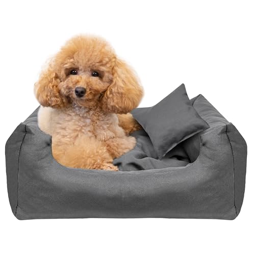 Creative Pets Hundebett 55x45x19 cm | grau | Hundekorb Katzenbett | Bett mit Kissen | Hundesofa | weich bequem | Schlafplätze Möbel für kleine und mittelgroße Hunde Creative Pets Hundebett 55x45x19 cm | grau | Hundekorb Katzenbett | Bett mit Kissen | Hundesofa | weich bequem | Schlafplätze Möbel für kleine und mittelgroße Hunde von Creative Pets