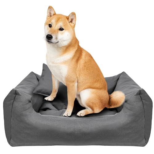 Creative Pets Hundebett 65x55x19 cm | grau | Hundekorb Katzenbett | Bett mit Kissen | Hundesofa | weich bequem | Schlafplätze Möbel für kleine und mittelgroße Hunde Creative Pets Hundebett 65x55x19 cm | grau | Hundekorb Katzenbett | Bett mit Kissen | Hundesofa | weich bequem | Schlafplätze Möbel für kleine und mittelgroße Hunde von Creative Pets