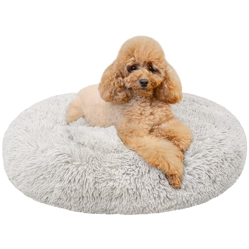 Creative Pets Hundebett Rund 60 cm | Grau | Donut Kissen Katzenbett | Hundesofa | Flauschig Weich | Hundekörbchen für kleine und mittelgroße Hunde Creative Pets Hundebett Rund 60 cm | Grau | Donut Kissen Katzenbett | Hundesofa | Flauschig Weich | Hundekörbchen für kleine und mittelgroße Hunde von Creative Pets