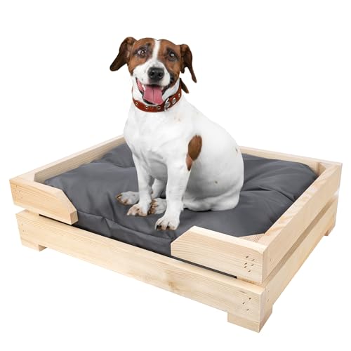 Creative Pets Hundebett aus Holz mit Hundekissen | 58 x 44 x 14 cm | Hundekorb Bequemes Kissen Dunkelgrau | Langlebiges Hundesofa | Hundematte für kleine Hunde Creative Pets Hundebett aus Holz mit Hundekissen | 58 x 44 x 14 cm | Hundekorb Bequemes Kissen Dunkelgrau | Langlebiges Hundesofa | Hundematte für kleine Hunde von Creative Pets