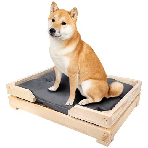 Creative Pets Hundebett aus Holz mit Hundekissen | 68 x 48 x 14 cm | Hundekorb Bequemes Kissen Dunkelgrau | Langlebiges Hundesofa | Hundematte für mittelgroße Hunde Creative Pets Hundebett aus Holz mit Hundekissen | 68 x 48 x 14 cm | Hundekorb Bequemes Kissen Dunkelgrau | Langlebiges Hundesofa | Hundematte für mittelgroße Hunde von Creative Pets