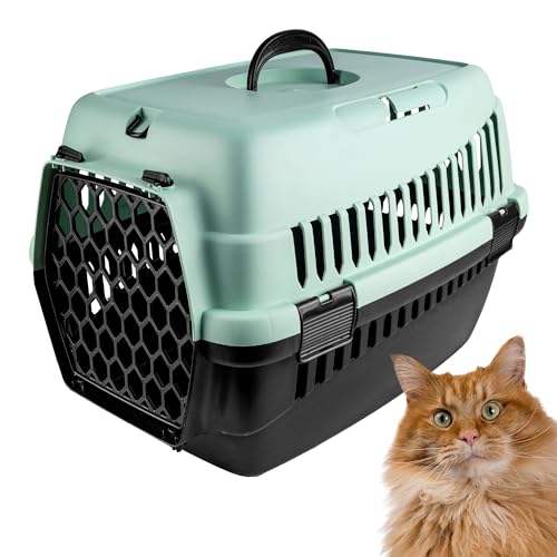 Creative Pets Katzentransportbox | Transportbox für Haustiere, Hunde, Katzen, Kaninchen | Katzenkorb Transport | Maße 50x33x33 cm | Minzgrün | Hundebox Tiertransportbox Hundetransportbox | Kunststoff Creative Pets Katzentransportbox | Transportbox für Haustiere, Hunde, Katzen, Kaninchen | Katzenkorb Transport | Maße 50x33x33 cm | Minzgrün | Hundebox Tiertransportbox Hundetransportbox | Kunststoff von Creative Pets