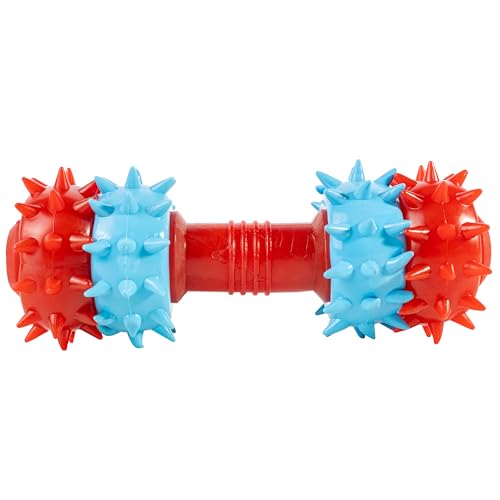 Creative Pets Kauspielzeug Hund Unzerstörbar Welpenspielzeug Hundezahnbürste Welpen | Ungiftiges Gummi Länge 14,5 cm | Mittelgroße große Hunde | Gesundes Kauen Zahnwechsel Gegen Langeweile Angst Creative Pets Kauspielzeug Hund Unzerstörbar Welpenspielzeug Hundezahnbürste Welpen | Ungiftiges Gummi Länge 14,5 cm | Mittelgroße große Hunde | Gesundes Kauen Zahnwechsel Gegen Langeweile Angst von Creative Pets