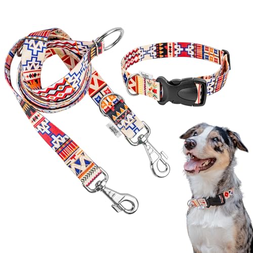 Creative Pets Universal Hundehalsband und Leine Set | Halsband 30 mm und Hundeleine 2,2 m | Leine abnehmbar | Halsband verstellbar | Für mittelgroße und große Hunde Welpen Creative Pets Universal Hundehalsband und Leine Set | Halsband 30 mm und Hundeleine 2,2 m | Leine abnehmbar | Halsband verstellbar | Für mittelgroße und große Hunde Welpen von Creative Pets