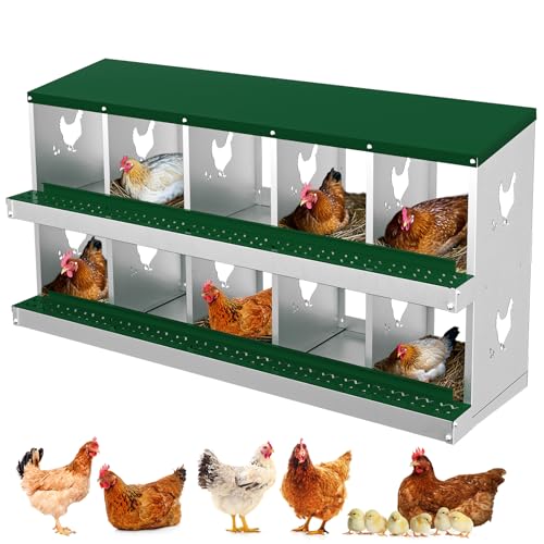 Creperture Legenest für Hühner, 10 Fächer Rollnestkasten Hühnernest aus Metall mit Geneigtem Boden, Lüftungslöchern,Leichte Reinigung Große Hühnerstall Eiersammelboxen,136 x 43 x 67 cm,Grün von Creperture