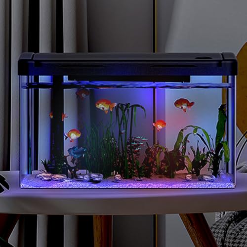 Crevyteg 12L Aquarium mit Filter und Licht, Rechteckiges Aquarium mit Filter und Sauerstoffzufuhr, LED-Licht, Mini Fischtank Tischdekoration für Zuhause, Büro, Wohnzimmer Crevyteg 12L Aquarium mit Filter und Licht, Rechteckiges Aquarium mit Filter und Sauerstoffzufuhr, LED-Licht, Mini Fischtank Tischdekoration für Zuhause, Büro, Wohnzimmer von Crevyteg