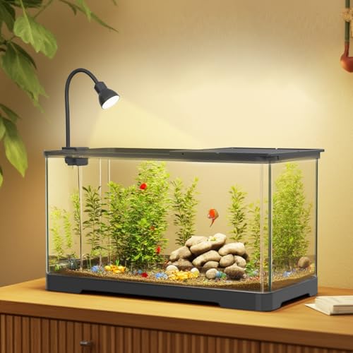 Crevyteg 18L Fischtank Aquarium mit LED-Leuchten & Filtersystem, Landschaftsbau Aquarium Starter-Set Rechteckiges Betta-Aquarium mit Deckel Kleines Aquarium für Heim Bürodekoration von Crevyteg