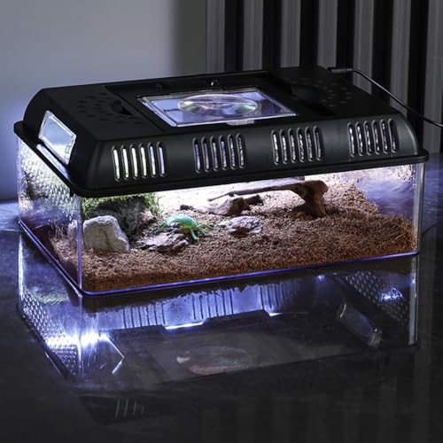 Crevyteg Reptilienbecken Terrarium, Reptile Growth PC Terrarium Komplettset, Schildkröten Gehege für Schnecken Insekten Vogelspinnen Springspinne Leopard Gecko, 31.5 x 22 x 12.5cm Crevyteg Reptilienbecken Terrarium, Reptile Growth PC Terrarium Komplettset, Schildkröten Gehege für Schnecken Insekten Vogelspinnen Springspinne Leopard Gecko, 31.5 x 22 x 12.5cm von Crevyteg
