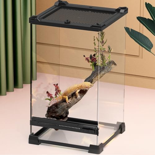 Crevyteg Terrarium aus Glas für Reptilien, Eidechsenhörnchen, mit Belüftungsöffnungen, Anti-Fluchttür, Reptilien-Futterbox für Haustiere, Schlangen, Eidechsen, Hörner, Frosch, Käfer, 20 x 20 x 30 cm Crevyteg Terrarium aus Glas für Reptilien, Eidechsenhörnchen, mit Belüftungsöffnungen, Anti-Fluchttür, Reptilien-Futterbox für Haustiere, Schlangen, Eidechsen, Hörner, Frosch, Käfer, 20 x 20 x 30 cm von Crevyteg