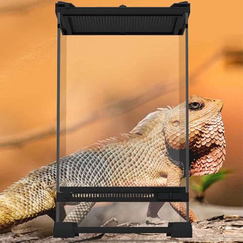 Crevyteg Terrarium aus Glas für Reptilien, Eidechsenhörner, Brutkasten mit Belüftungsöffnungen, Anti-Fluchttür, Reptilien-Futterbox für Haustiere, Schlangen, Eidechsen, Hörner, Frosch, Käfer, 25 x 25 von Crevyteg