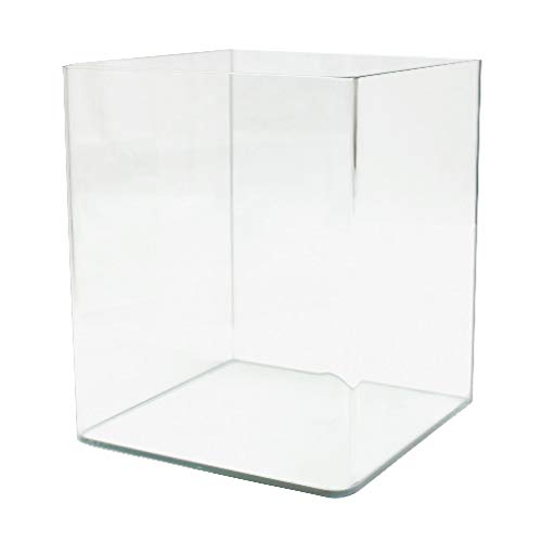 Amtra Nanotank 20 - Aquariumbecken 20 Liter - Glaskasten extra klar 25 x 25 x 30 cm - Becken für Goldfische oder als Schildkrötenbecken für Wasserschildkröten inklusive Stoßdämpfungsmatte von Croci