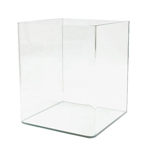 Amtra Nanotank 30 - Aquariumbecken 30 Liter - Glaskasten extra klar 30 x 30 x 35 cm - Becken für Goldfische oder als Schildkrötenbecken für Wasserschildkröten mit stoßdämpfender Matte inklusive von Croci