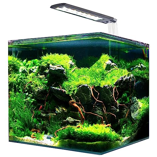 Amtra NANOTANK System 20 - Glasaquarium komplett mit LED-Licht und Filter/cm 25x25x30 / 18 Liter von Croci