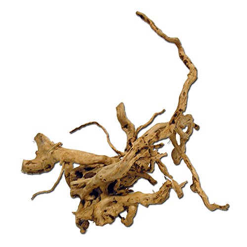 Amtra Holz Red Wood Größe L – 30/50 cm – Dekoration für Aquarien – handgefertigt – natürlicher Stamm Ornament – Dekoration für Aquarien Amtra Holz Red Wood Größe L – 30/50 cm – Dekoration für Aquarien – handgefertigt – natürlicher Stamm Ornament – Dekoration für Aquarien von Amtra