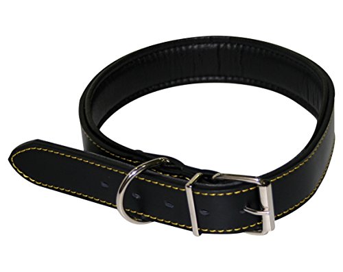 Croci C5061824 Lederhalsband Class, 61 X 3 cm, schwarz von Croci
