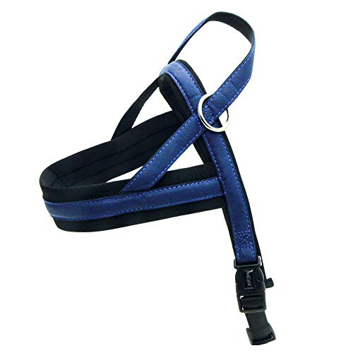 Croci C5080602 Kunstleder Geschirr Mylord Swedish, 60-76 x 40 mm, blau Croci C5080602 Kunstleder Geschirr Mylord Swedish, 60-76 x 40 mm, blau von Croci