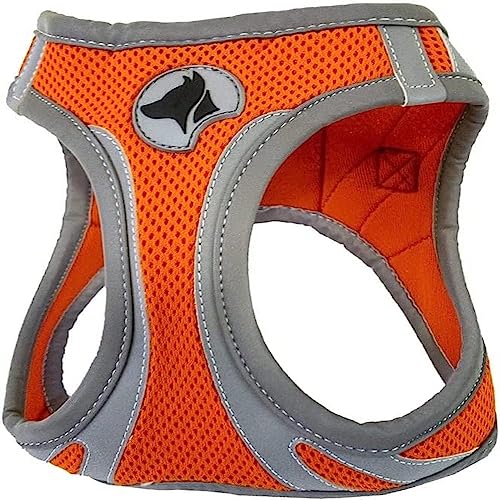 Croci C5081165 Hiking Geschirr Reflective, XS, orange Croci C5081165 Hiking Geschirr Reflective, XS, orange von Croci