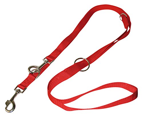 Croci C5MZ0070 Nylonführleine 19 x 2200 mm, rot Croci C5MZ0070 Nylonführleine 19 x 2200 mm, rot von Croci