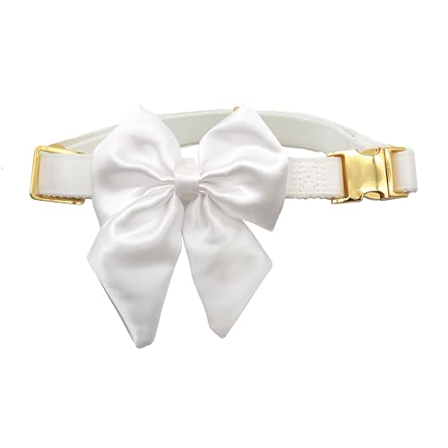 Croci Ceremony Bride Hundehalsband für weibliche Hunde, mit Abnehmbarer Satinschleife, Weiß mit Gold-Details, für kleine, mittelgroße und große Hunde, S/28-44 cm Croci Ceremony Bride Hundehalsband für weibliche Hunde, mit Abnehmbarer Satinschleife, Weiß mit Gold-Details, für kleine, mittelgroße und große Hunde, S/28-44 cm von Croci