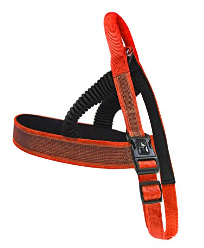 CROCI Elastic Venture Hundegeschirr, 20 x 600-710 mm, Rot von Croci