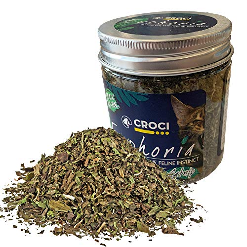 Croci Euphoria - Catnip Glas, essbare Katzenminze, für Katzen, 25g Croci Euphoria - Catnip Glas, essbare Katzenminze, für Katzen, 25g von Croci