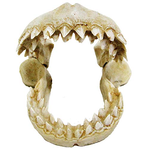 CROCI Shark Zähne, klein von CROCI