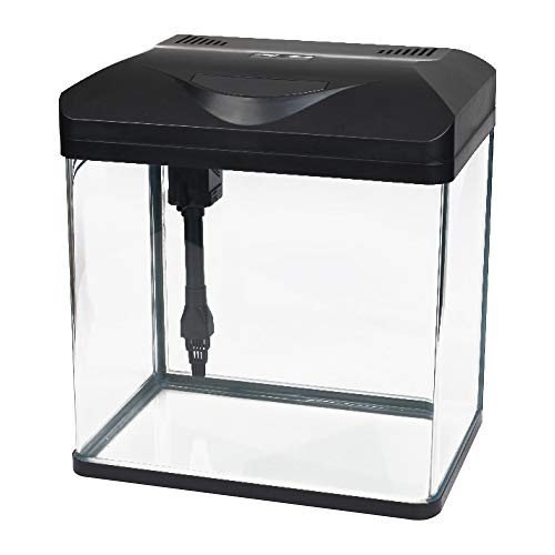 Wave AMTRA Laguna LED 40-30 Liter Glasaquarium mit Deckel, LED-Beleuchtung und Filter inklusive, 38x26x41 cm von Croci