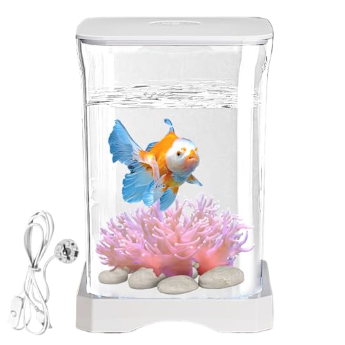 Croovepi Betta Aquarium, kleine Aquarien mit LED-Beleuchtung, Betta-Schüssel, Wasser, Landschaftsgestaltung mit Futterloch für , Krabben, Spinnen von Croovepi