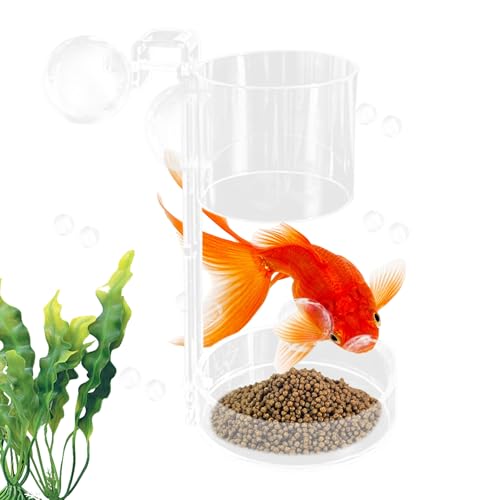 Croovepi -Futternapf Schwimmendes und sinkendes Design – Fischfutterspender für kleine Räume, Wohnzimmer, Zuhause, Aquarium, Anfänger, Enthusiasten, Hobbyisten Croovepi -Futternapf Schwimmendes und sinkendes Design – Fischfutterspender für kleine Räume, Wohnzimmer, Zuhause, Aquarium, Anfänger, Enthusiasten, Hobbyisten von Croovepi