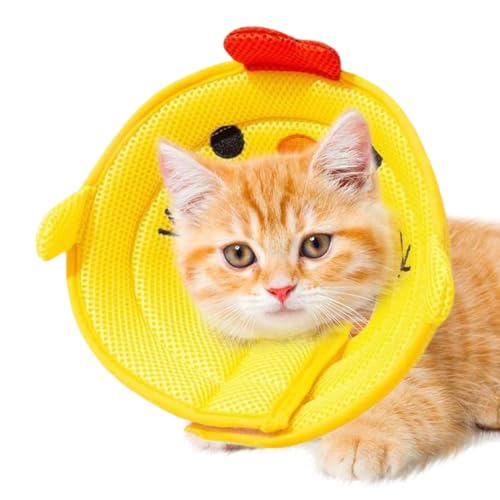 Croovepi Katzenkegel-Halsbänder – schützender -Halskegel – Wundschutz Halsabdeckung, stoppen Sie Lecken für Welpen, Kätzchen, kleine, mittelgroße und große Tiere Croovepi Katzenkegel-Halsbänder – schützender -Halskegel – Wundschutz Halsabdeckung, stoppen Sie Lecken für Welpen, Kätzchen, kleine, mittelgroße und große Tiere von Croovepi