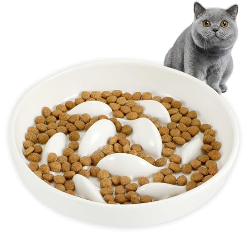Anti-Schling-Napf für Hunde und Katzen, Anti Schling Napf Keramik Langsam Fütterung Hundenapf Katzennapf Fisch-Pool-Design Interaktiver Slow Feeder Futternapf, Weiss Anti-Schling-Napf für Hunde und Katzen, Anti Schling Napf Keramik Langsam Fütterung Hundenapf Katzennapf Fisch-Pool-Design Interaktiver Slow Feeder Futternapf, Weiss von Crrynuo