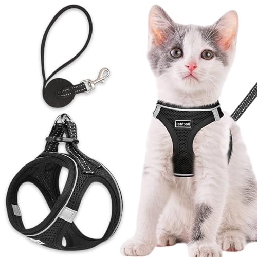 Katzengeschirr und Leine, verbesserte ausbruchsichere, verstellbare Weste, atmungsaktiv, leicht, weiches Netzgewebe, für Kätzchen, Welpen, Spaziergänge im Freien, reflektierende Streifen für dunkle von Crrynuo