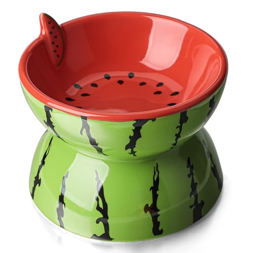 Erhöhter Futternapf aus Keramik für Indoor-Katzen, geneigte Futternäpfe, niedlicher erhöhter Katzennapf für flache Katzen und Kätzchen (Wassermelonenform, mittel) von Crsiller