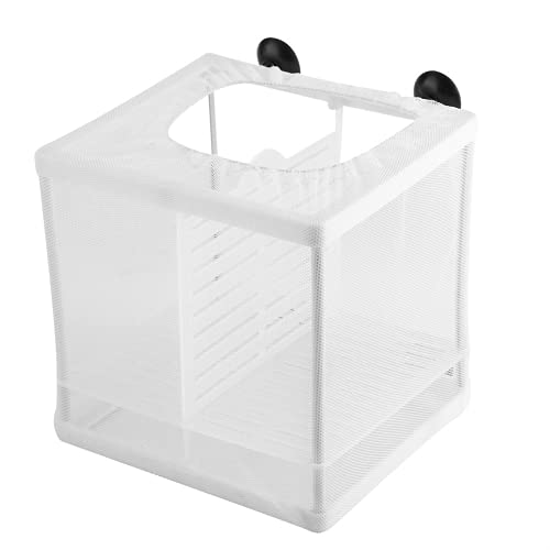 Aquarium Züchter Box Fisch Zuchtbox Aquarium Fische Multifunktionaler Brutkasten Züchter für Fische von Cryfokt