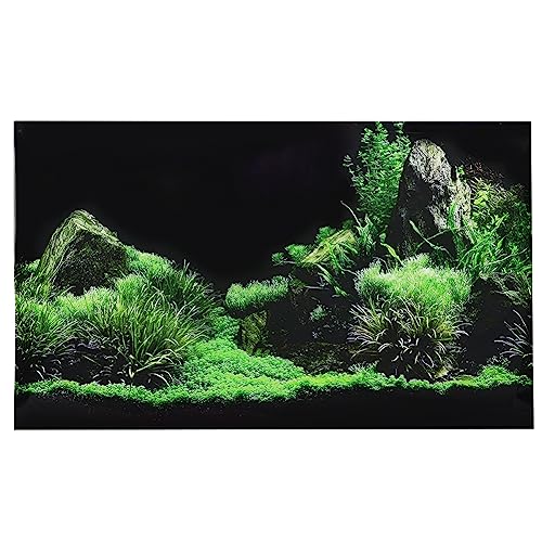 Cryfokt Aquarium-Aufkleber, Wassergras-Aquarium-Aufkleber, kein Verblassen, Nicht Reflektierend, für den Haushalt, für Aquaridum, Büro, Aquarium (91 * 50cm) von Cryfokt