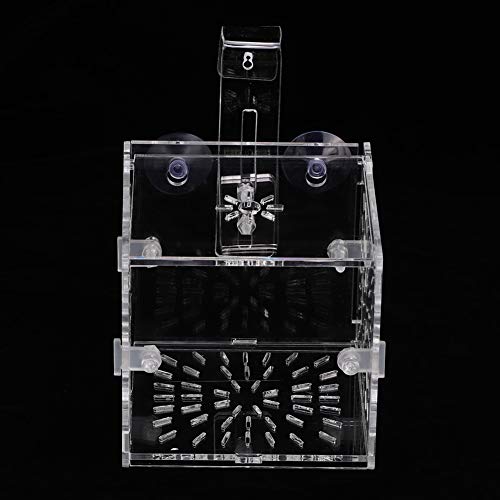 Cryfokt Isolationsbox, Acryl-Fisch-Brutkasten, transparent, ungiftig, höhenverstellbar, mit Isolationsbrett für die Zucht zur Isolation (10 cm, 10 cm, 10 cm, 10 cm) von Cryfokt