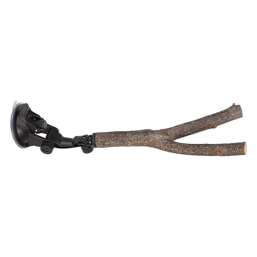 Cryfokt Vogelsitzstangen, Papageienständer, Vogelständer, Spielzeug-Set, Pfotenschleifstab, Vogelübung, Training, Kletterspielzeug, Vogelkäfig-Zubehör mit Saugnäpfen, Sitzstange mit (20 Cryfokt Vogelsitzstangen, Papageienständer, Vogelständer, Spielzeug-Set, Pfotenschleifstab, Vogelübung, Training, Kletterspielzeug, Vogelkäfig-Zubehör mit Saugnäpfen, Sitzstange mit (20 von Cryfokt