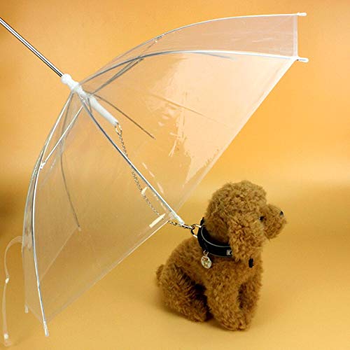 Hyena Haustier-Regenschirm, Motiv: Teddybär, wasserdicht, transparent von Crysdaralovebi
