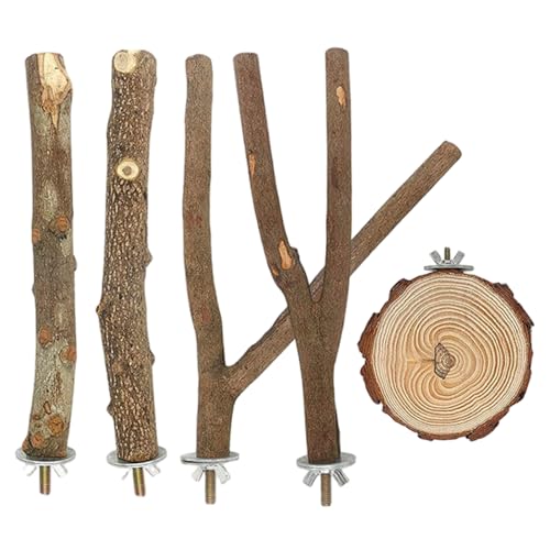 5pcs/Fester Vogelperch Stand Safe Naturholz Papageienständer Interaktive Vogelstacheln Übungsspielzeug Käfigzubehör von Csafyrt
