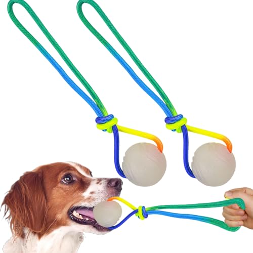 Csafyrt 2pcs glühen im dunklen hundkugel, 2 Zoll Licht -Up -Hundball mit 11,4 -Zoll von Csafyrt