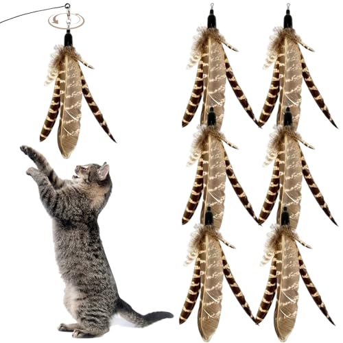 Csafyrt 6pcs Katzenfedern Spielzeug, natürliche Vogelfedern Katzenstandaufsätze, interaktiver Spielzeug Ersatz für Katzen Kätzchen Kratzerübung Innenräume Csafyrt 6pcs Katzenfedern Spielzeug, natürliche Vogelfedern Katzenstandaufsätze, interaktiver Spielzeug Ersatz für Katzen Kätzchen Kratzerübung Innenräume von Csafyrt
