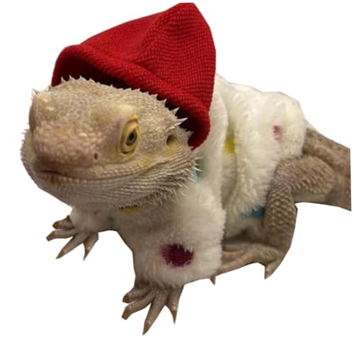 Csafyrt Mantel bärtige Drachen Kleidung Weiche Kapuzenpullover Pullover Mantel Bart Drache Kostüm Hautschutz Fotoparty Party von Csafyrt