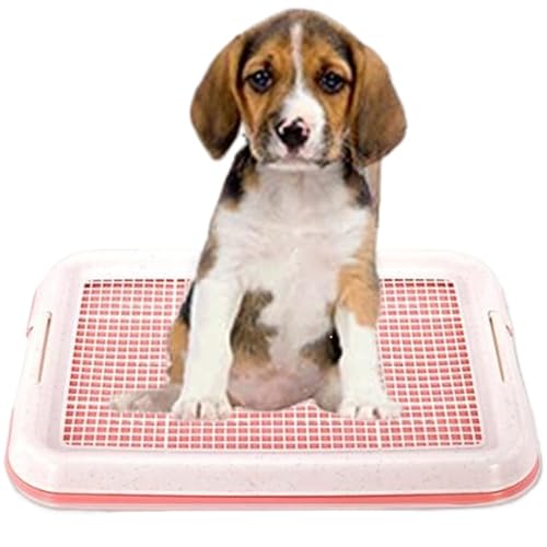 Csafyrt Hundetöpfchen Tablett Dual Layer Gridded Hunde Pee Pads Wiederverwendbare Waschpee-Pads mit Seitenbefestigungselemper Csafyrt Hundetöpfchen Tablett Dual Layer Gridded Hunde Pee Pads Wiederverwendbare Waschpee-Pads mit Seitenbefestigungselemper von Csafyrt