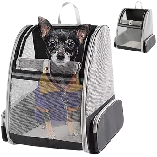 Csafyrt Katzen -Rucksackträger 15x11x16 Atmungsaktives Netz vorne/Seitenöffnung schwere Faltbare Faltbar von Csafyrt