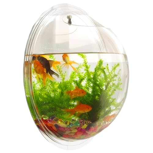 Kleines Aquarium 9,1 Zoll Durchmesser klarer Acrylwandmortenfischtank Easy Setup Raumsparende Wandfischtank zum Ausstellen, Blüten und Pflanzen von Csafyrt