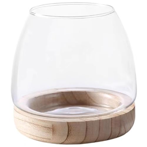 Terrariumschüssel mit Abnehmbarer Holzbasis 4x6 Transparentes Glas Terrarium Minimalist & luxuriöser Hydroponic Fish Tank Pflanzer auf Desktop von Csafyrt