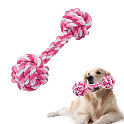 Csheng Frisbee Hund hundespielzeug Ball Hund kauen Interaktive Hund Spielzeug Hund behandelt für welpen Welpen kaut Welpen kauen Spielzeug Csheng Frisbee Hund hundespielzeug Ball Hund kauen Interaktive Hund Spielzeug Hund behandelt für welpen Welpen kaut Welpen kauen Spielzeug von Csheng