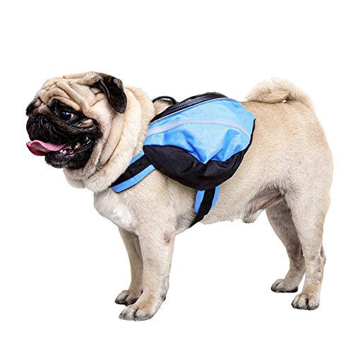 Csheng Hundetasche Hunderucksack Hund Rucksack Haustier Selbst Rucksack Haustiere Aus Dem Rucksack Gezogen Outdoor Sporttasche Kann FüR Reisen Im Freien Verwendet Werden Csheng Hundetasche Hunderucksack Hund Rucksack Haustier Selbst Rucksack Haustiere Aus Dem Rucksack Gezogen Outdoor Sporttasche Kann FüR Reisen Im Freien Verwendet Werden von Csheng