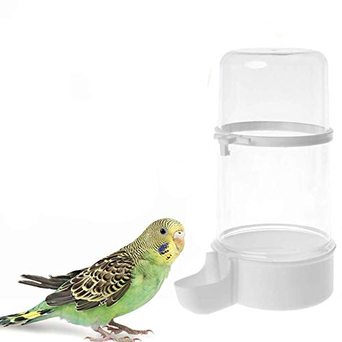 Csheng Vogelfutterspender Automatischer Futterspender Meerschweinchen-Futternapf Vogelfutterautomat Hängende Vogelhäuschen Vogelhäuschen löschen White,415ml Csheng Vogelfutterspender Automatischer Futterspender Meerschweinchen-Futternapf Vogelfutterautomat Hängende Vogelhäuschen Vogelhäuschen löschen White,415ml von Csheng